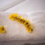 Venus Myconian Residences * カラファティス