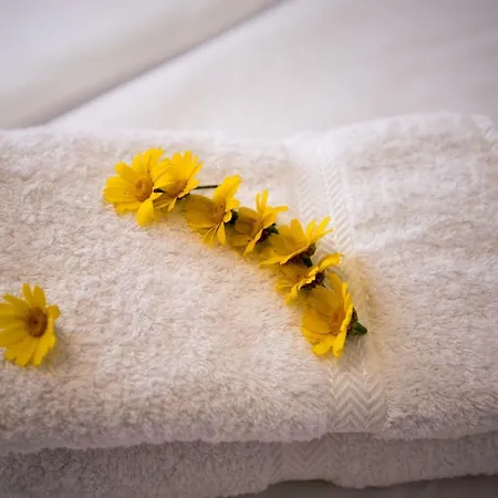 Venus Myconian Residences * Kalafati