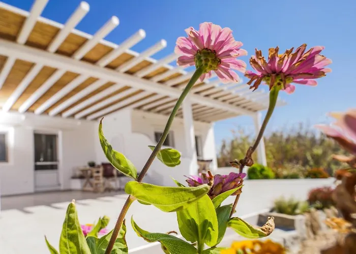 Venus Myconian Residences Калафатис