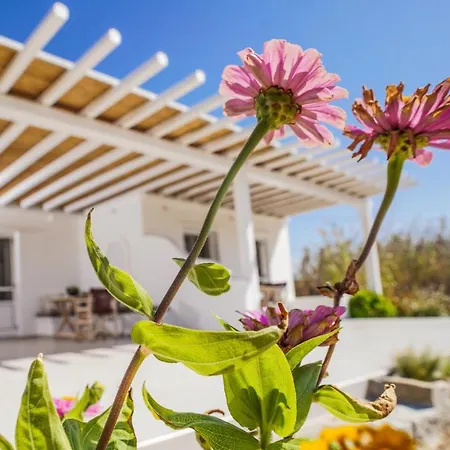 Venus Myconian Residences קלפטיס