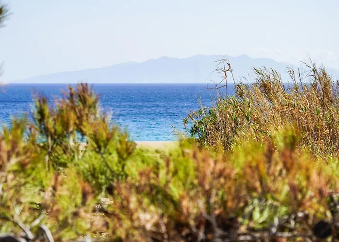 Venus Myconian Residences * Καλαφάτη